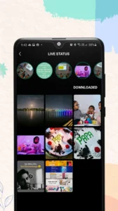 Whatsapp Tracker APK 5